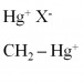 Ethyl Mercury vs. Methyl Mercury: What’s The Difference?